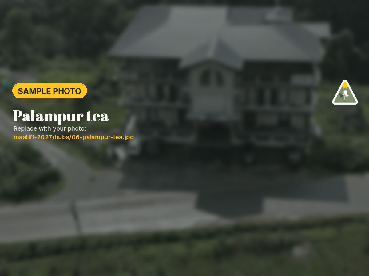 Palampur tea estates and Dhauladhar trails
